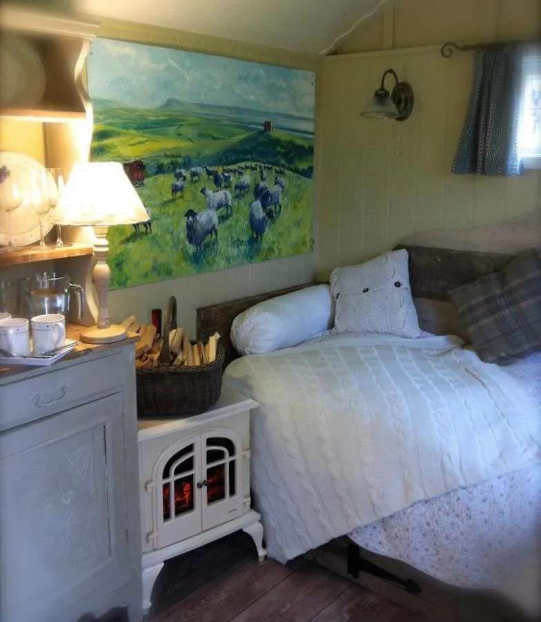 אתר קמפינג יורק Beech Shepherds Hut